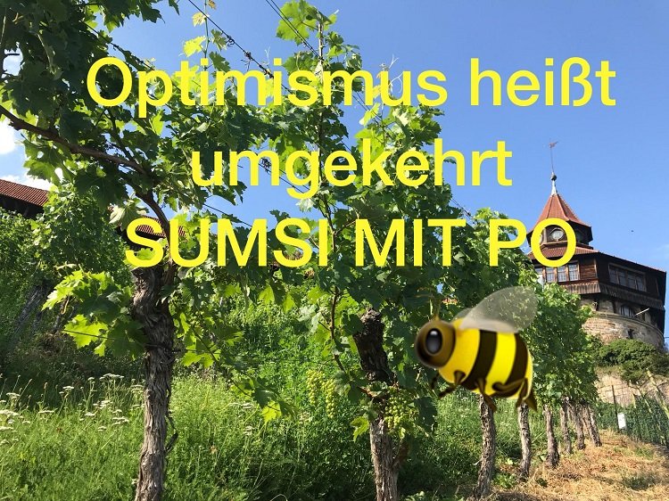 StartUp Esslingen - Optimismus unter dem Dicken Turm